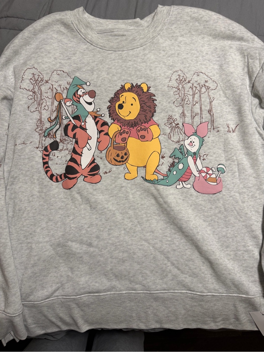 Disney Winnie the Pooh trick or treat sweatshirt size M nwt